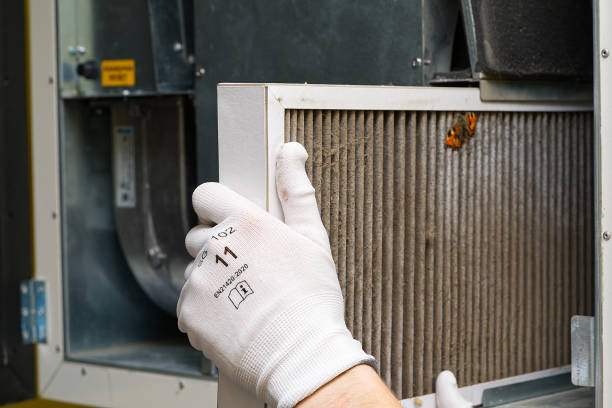 Best Local Air Duct Cleaning Services  in Pelican Bay, FL