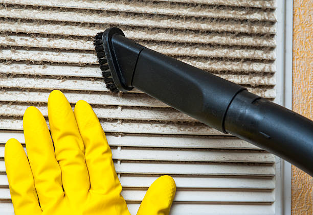 Best Home Air Vent Cleaning  in Pelican Bay, FL